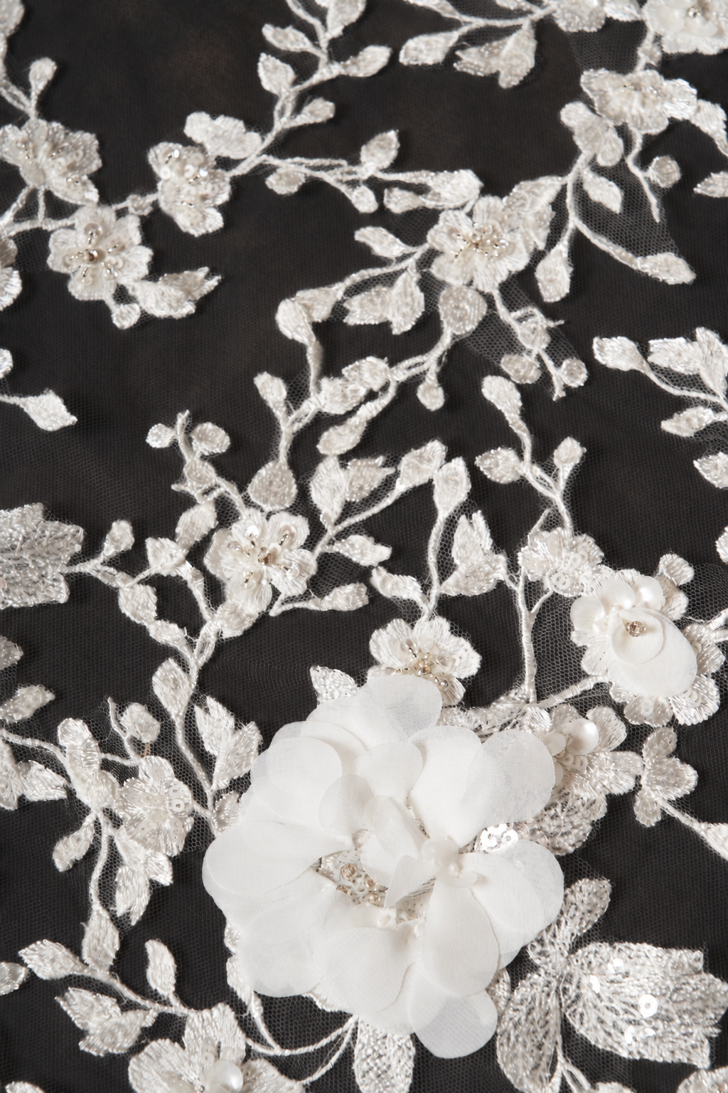 James Veil, detail 1
