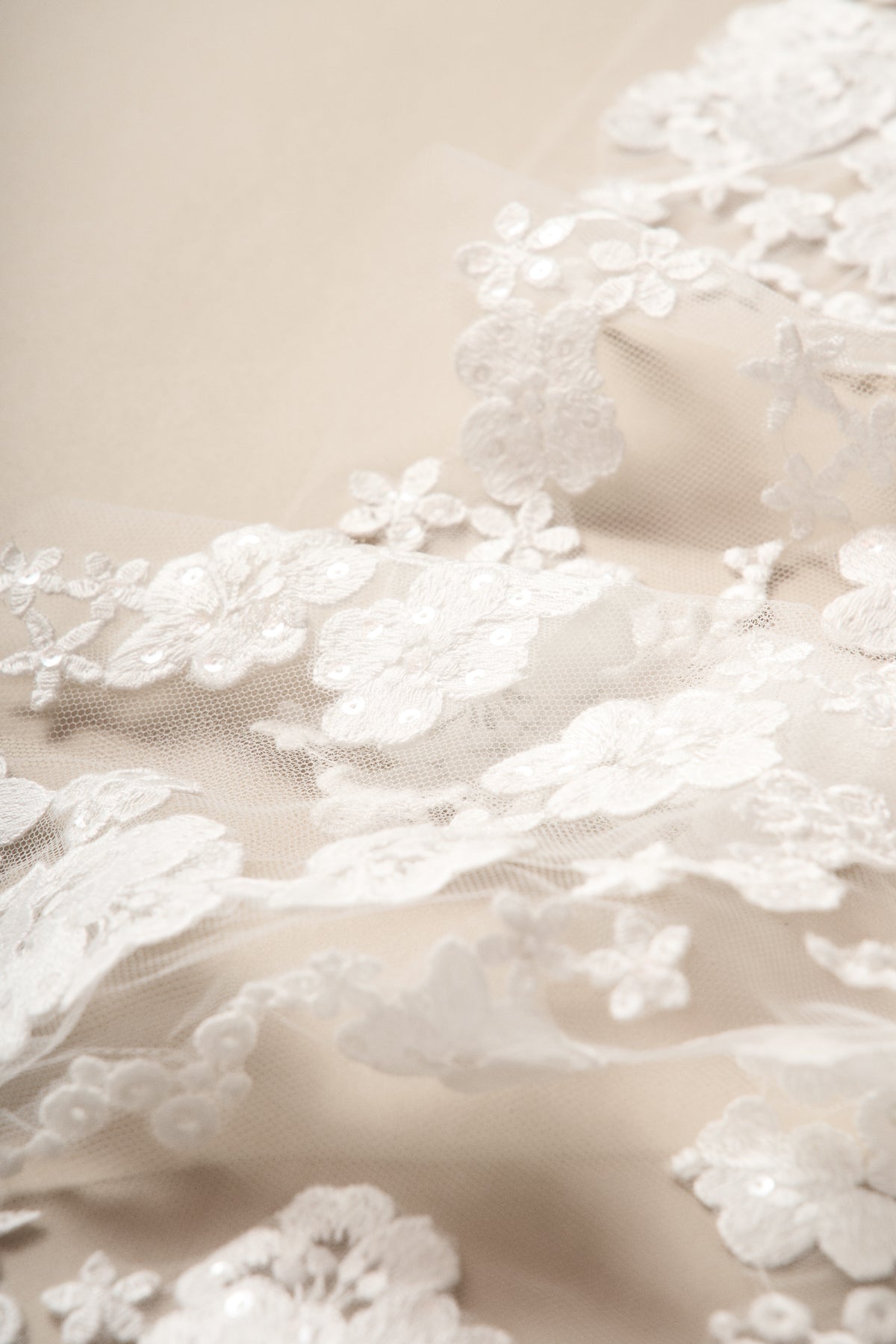 Halo Veil, detail 2