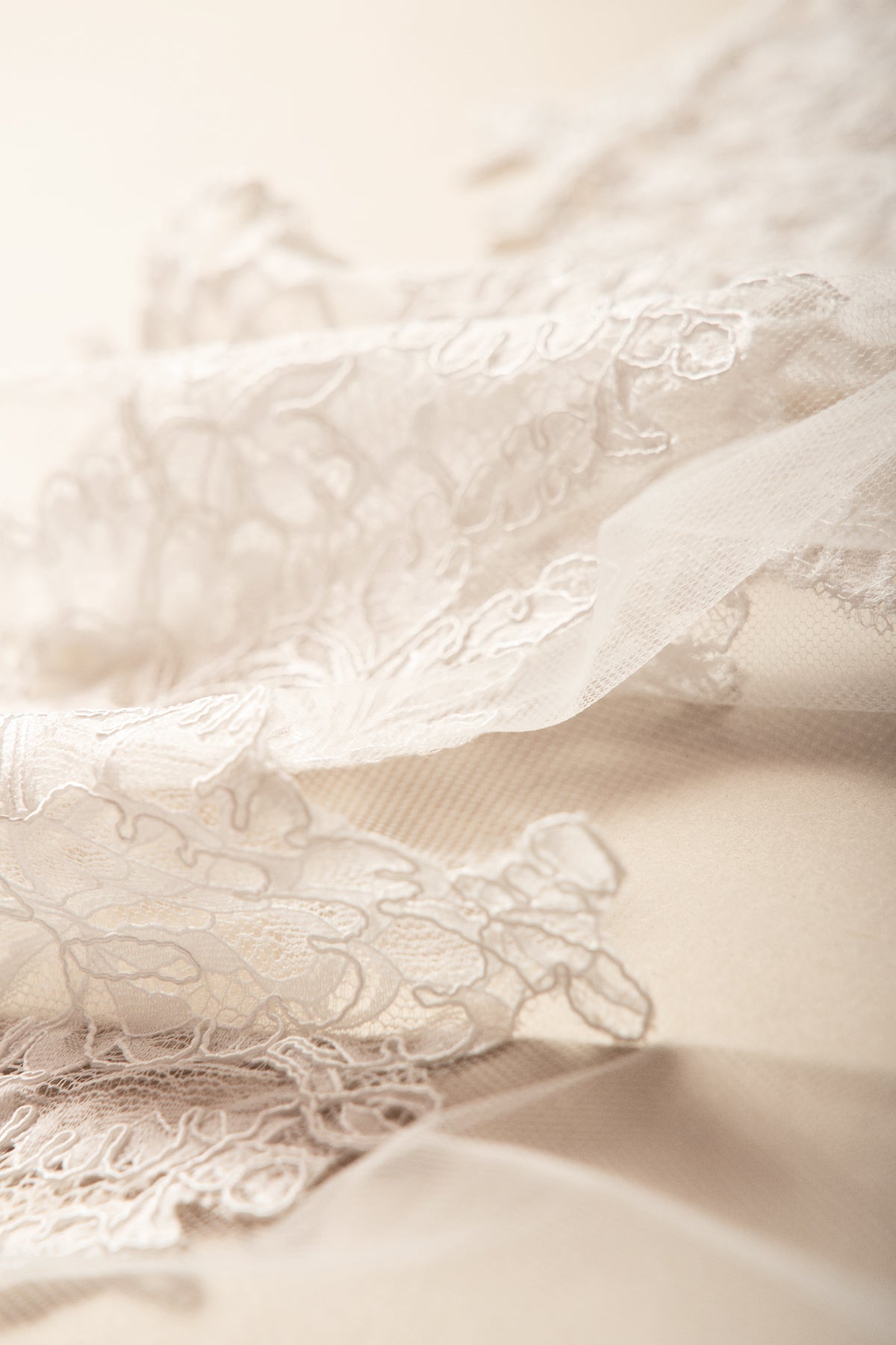 Horizon Veil, detail 2