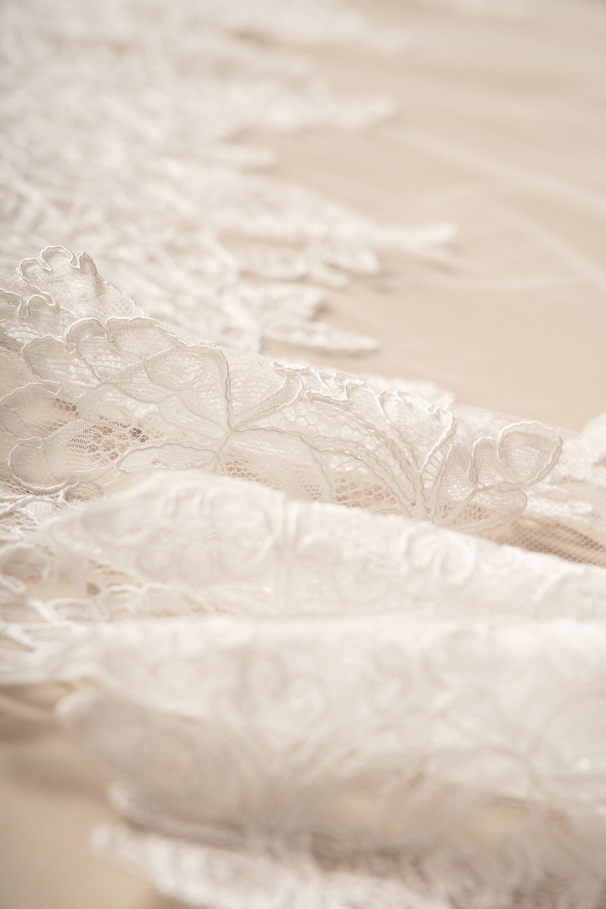 Horizon Veil, detail 1