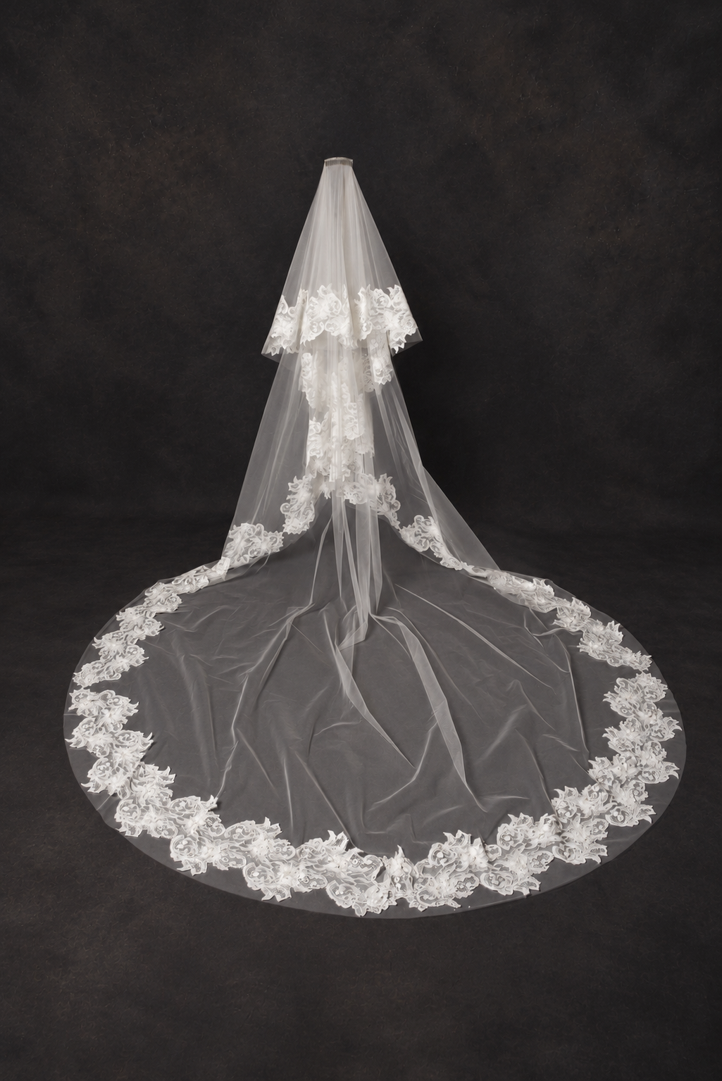 Heidi Veil