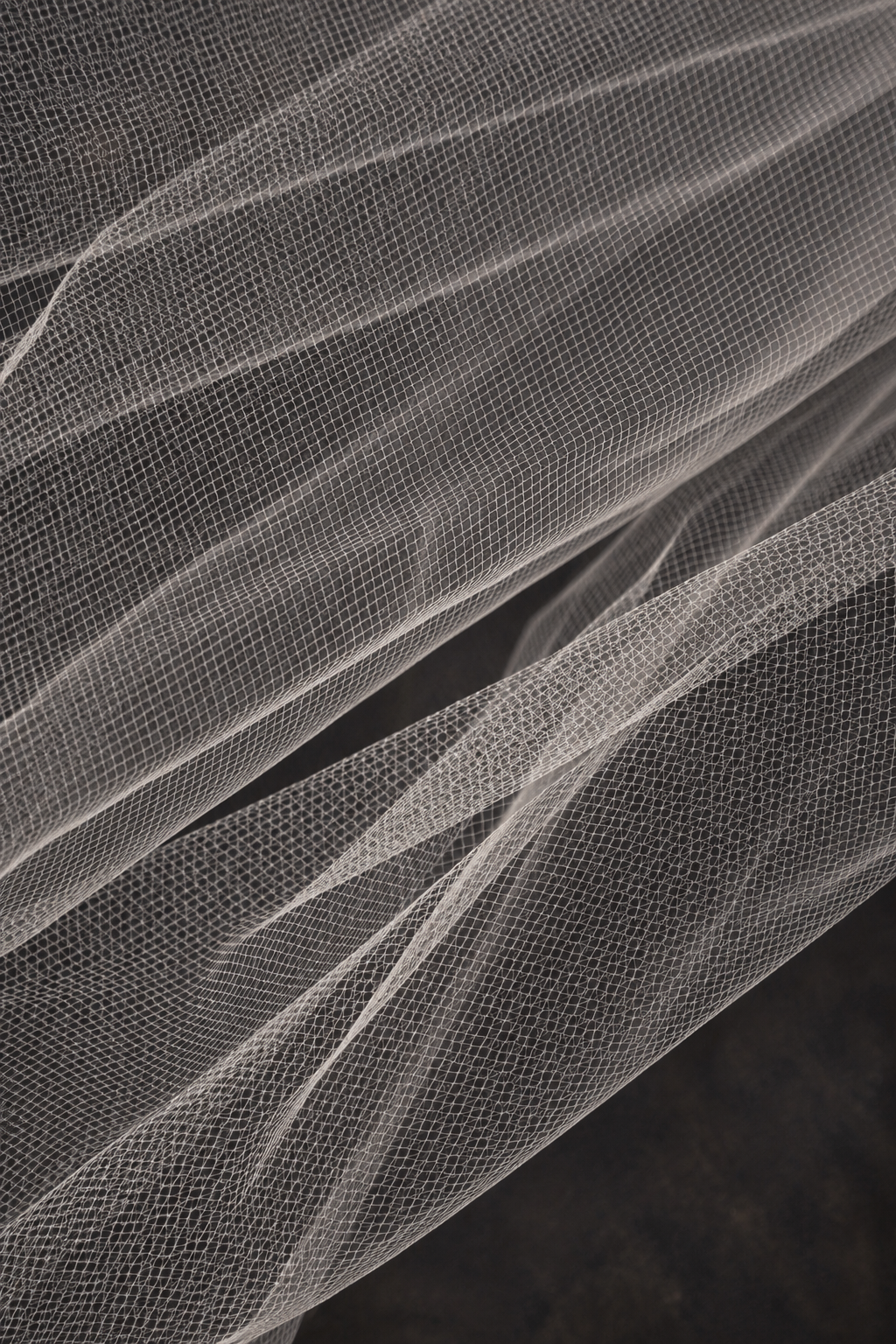 Ivy Veil, detail 1