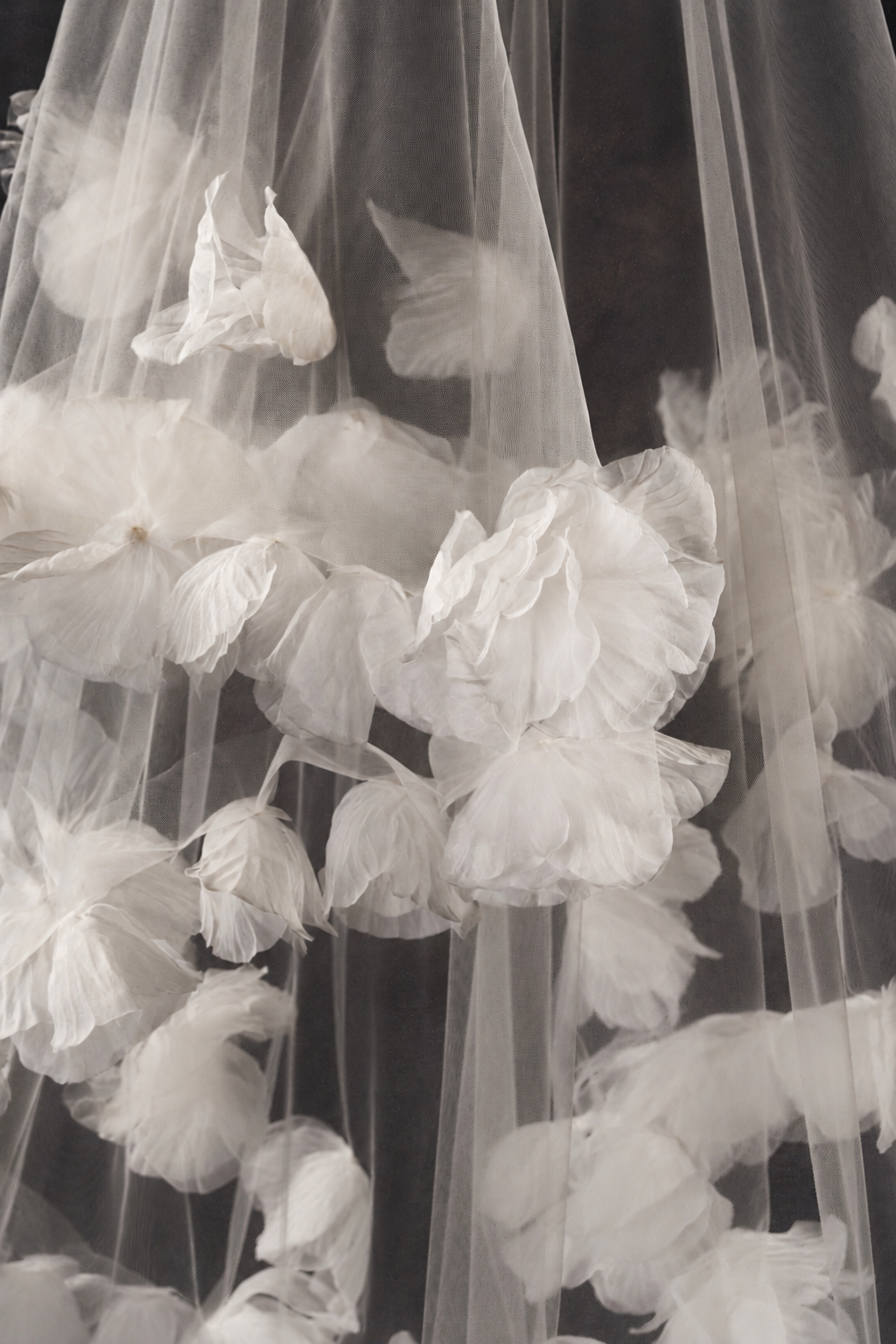 Bowie Veil, detail 3