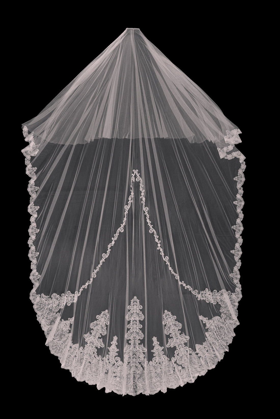 Vibrant Veil
